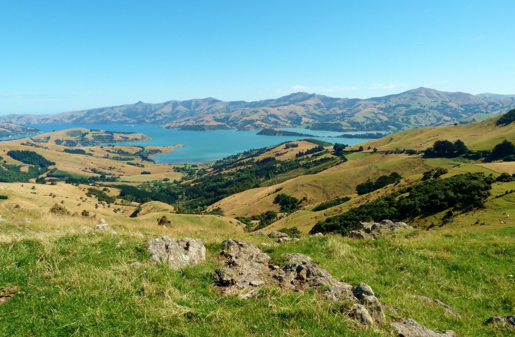 Akaroa New Zealand Travel Blog Made By Kiwis